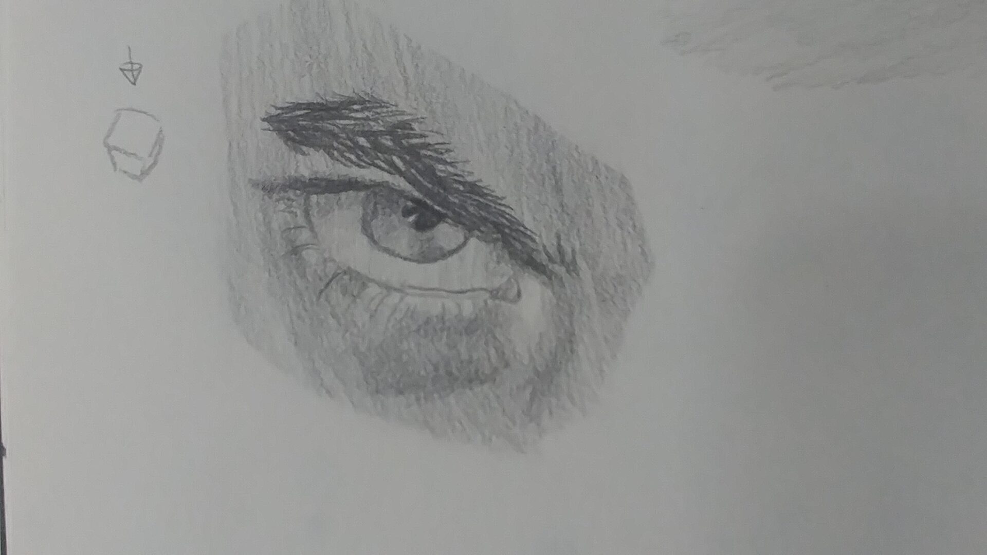 Volná tvorba